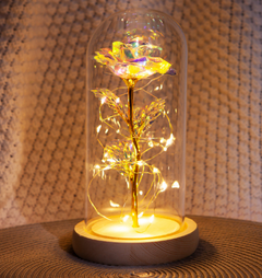 Enchanted Rose Mother's Day Gift