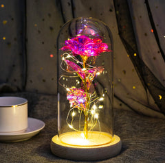 Enchanted Rose Mother's Day Gift