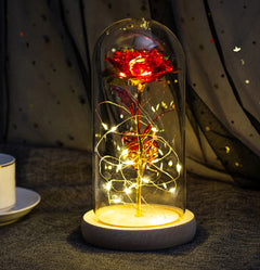 Enchanted Rose Mother's Day Gift