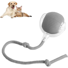 Automatic Rolling Pet Ball